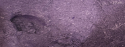 Luster Violet