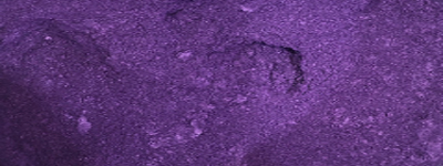 Magic Violet