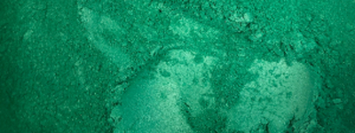 Paris Green