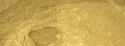 Rich Gold Powder